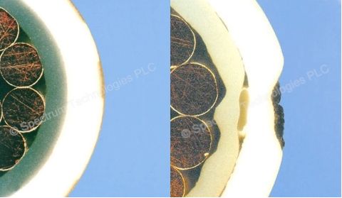 mirror image half circles