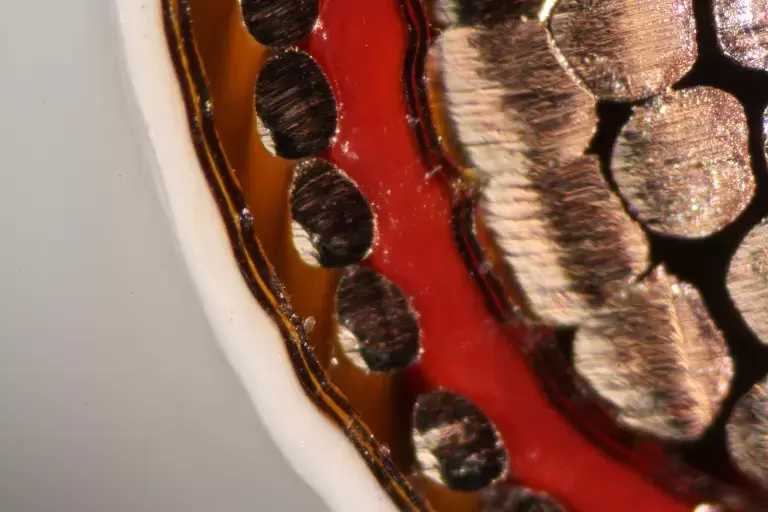 Multi layered wires with golden and brown colors.